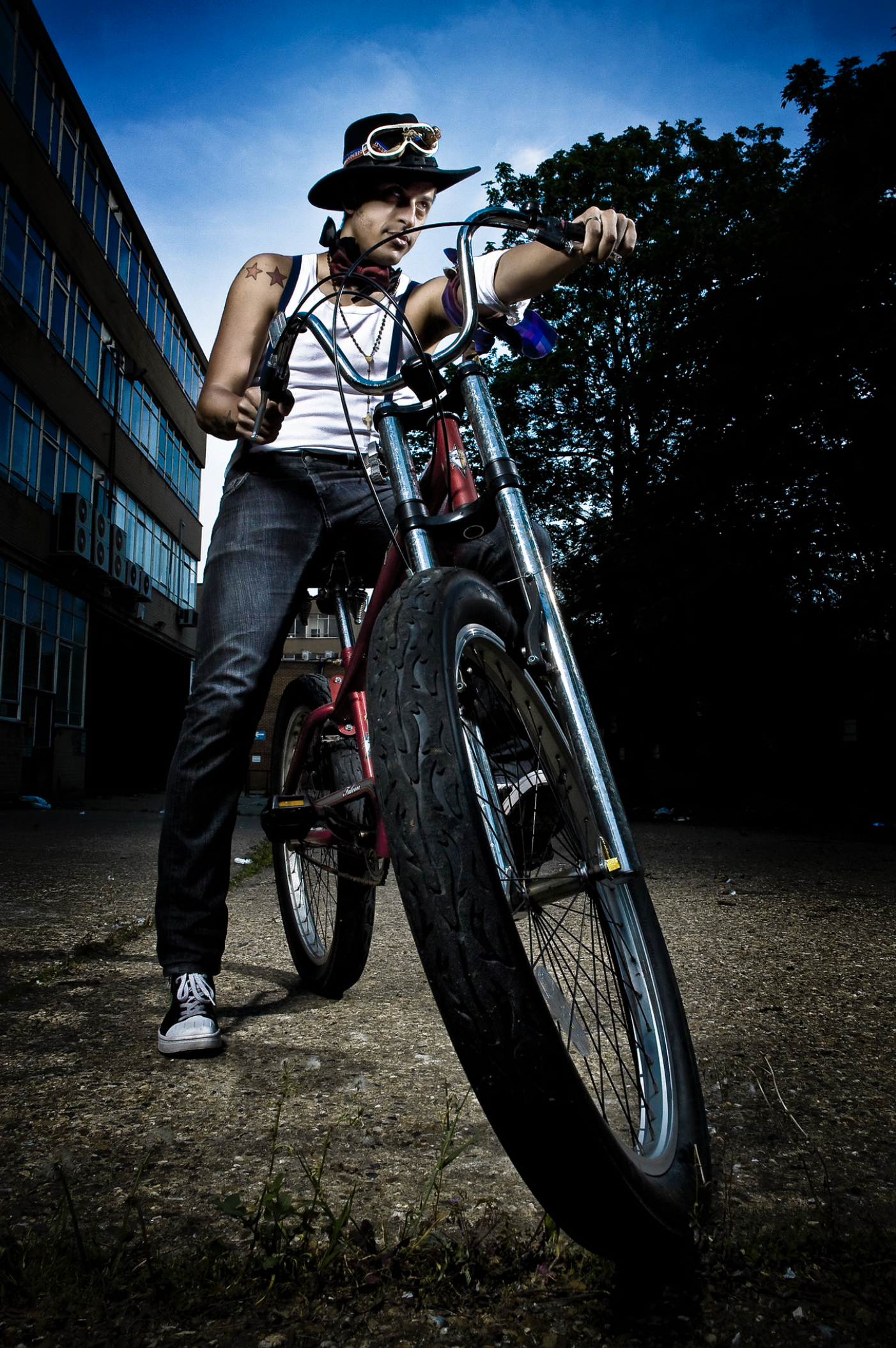 bird_photoarchive at 10.56.25.png