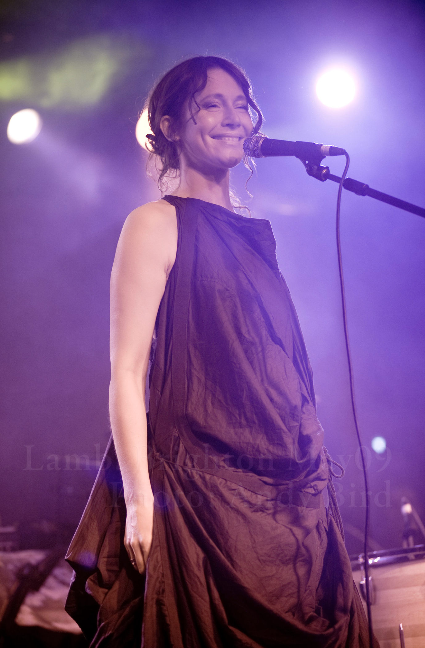 bird_photoarchive at 10.53.29.png