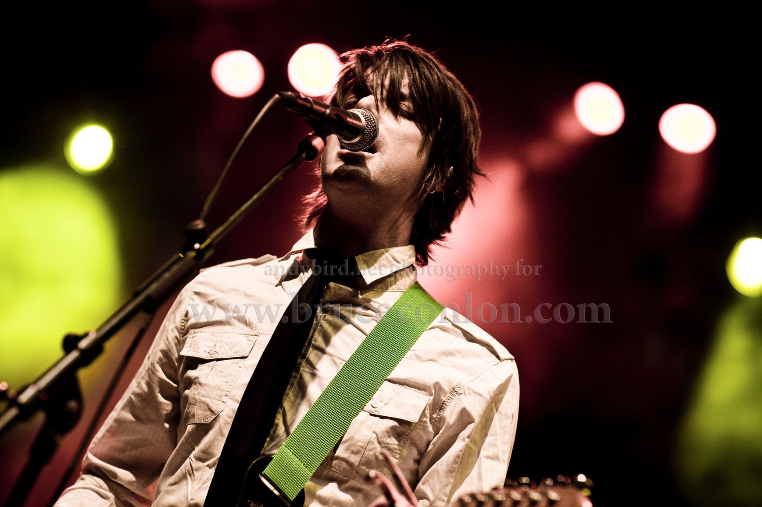 bird_photoarchive at 10.55.17.png