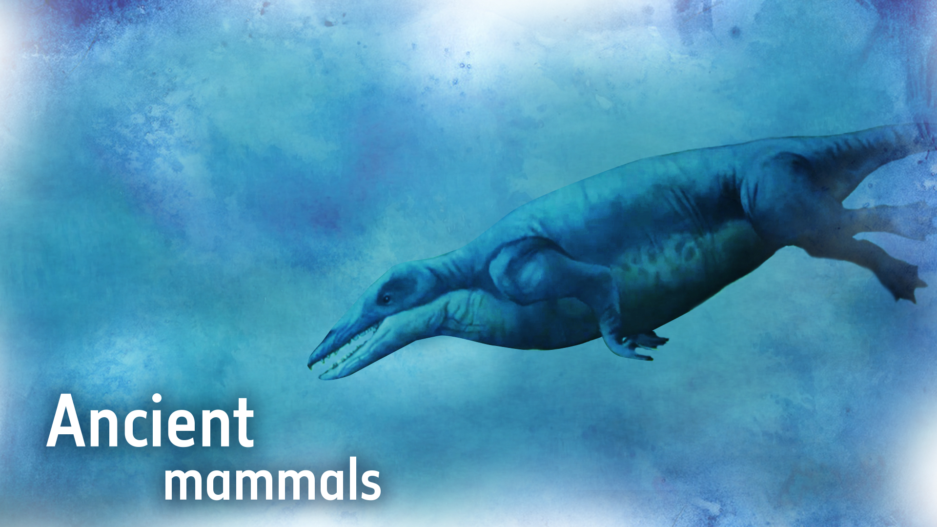 10 - Ancient mammals.jpg