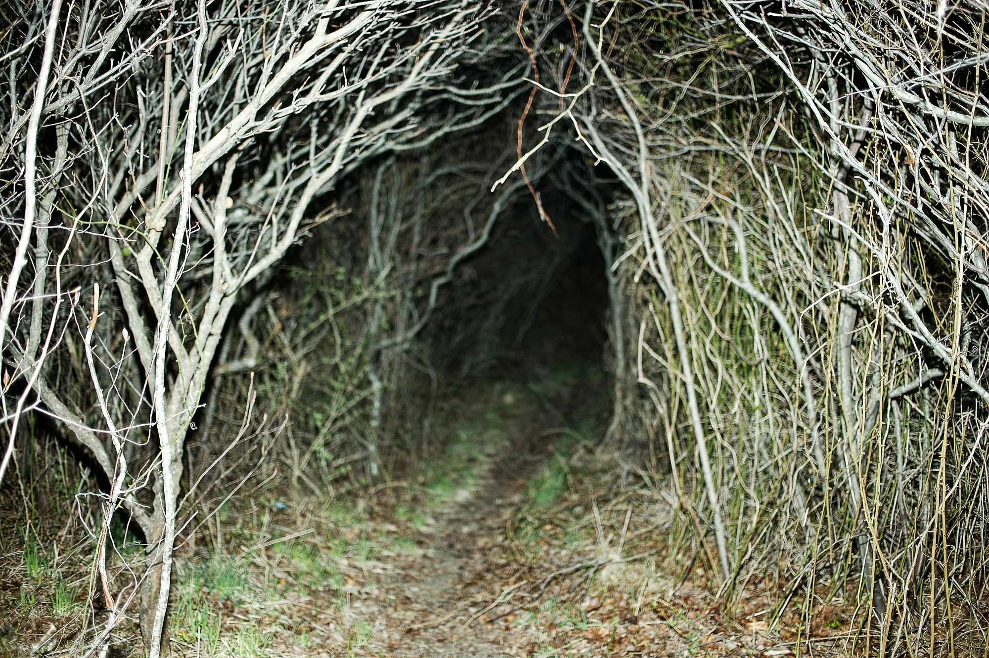Montauk, 2006.