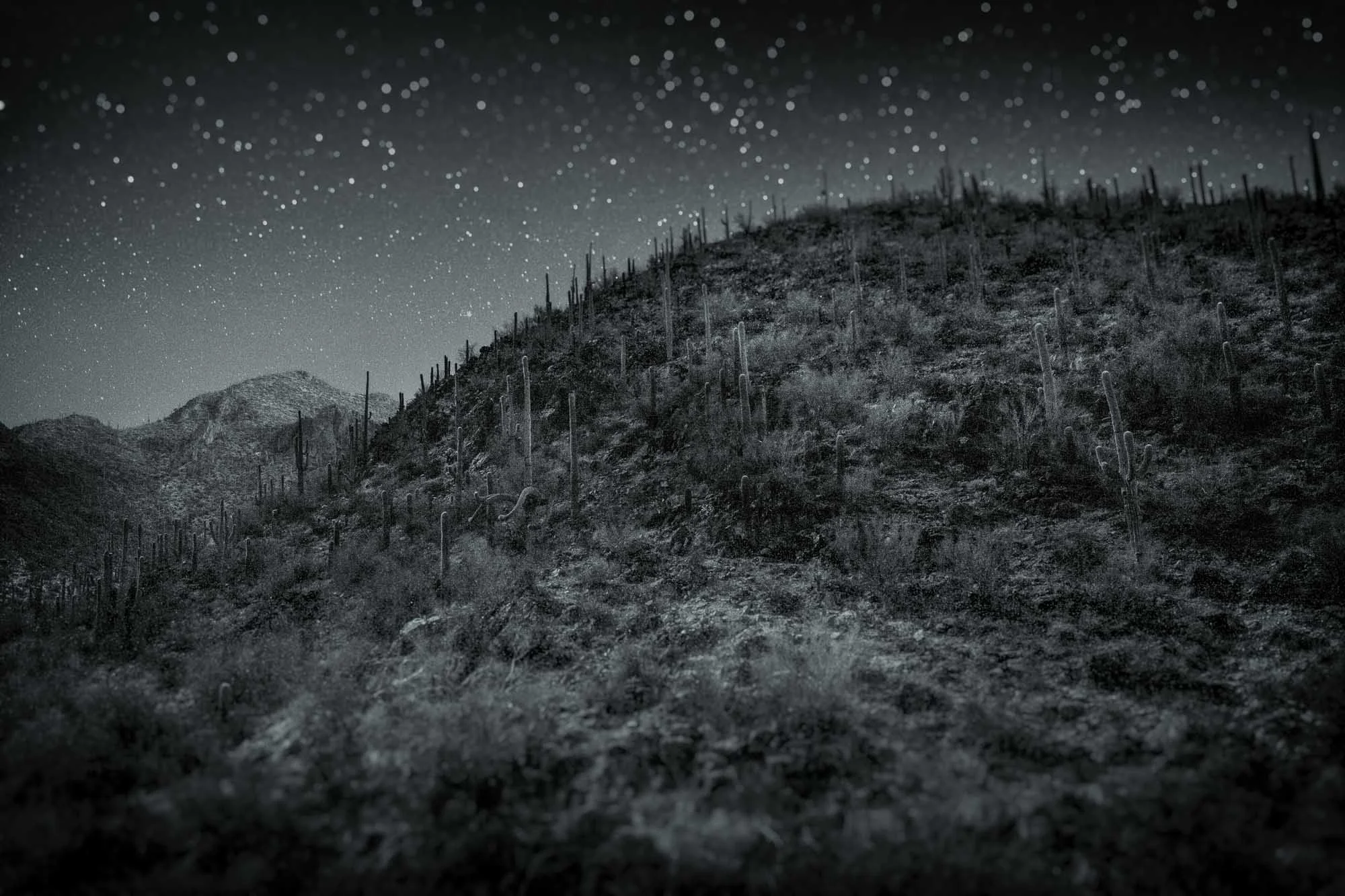 Tucson, 2006.
