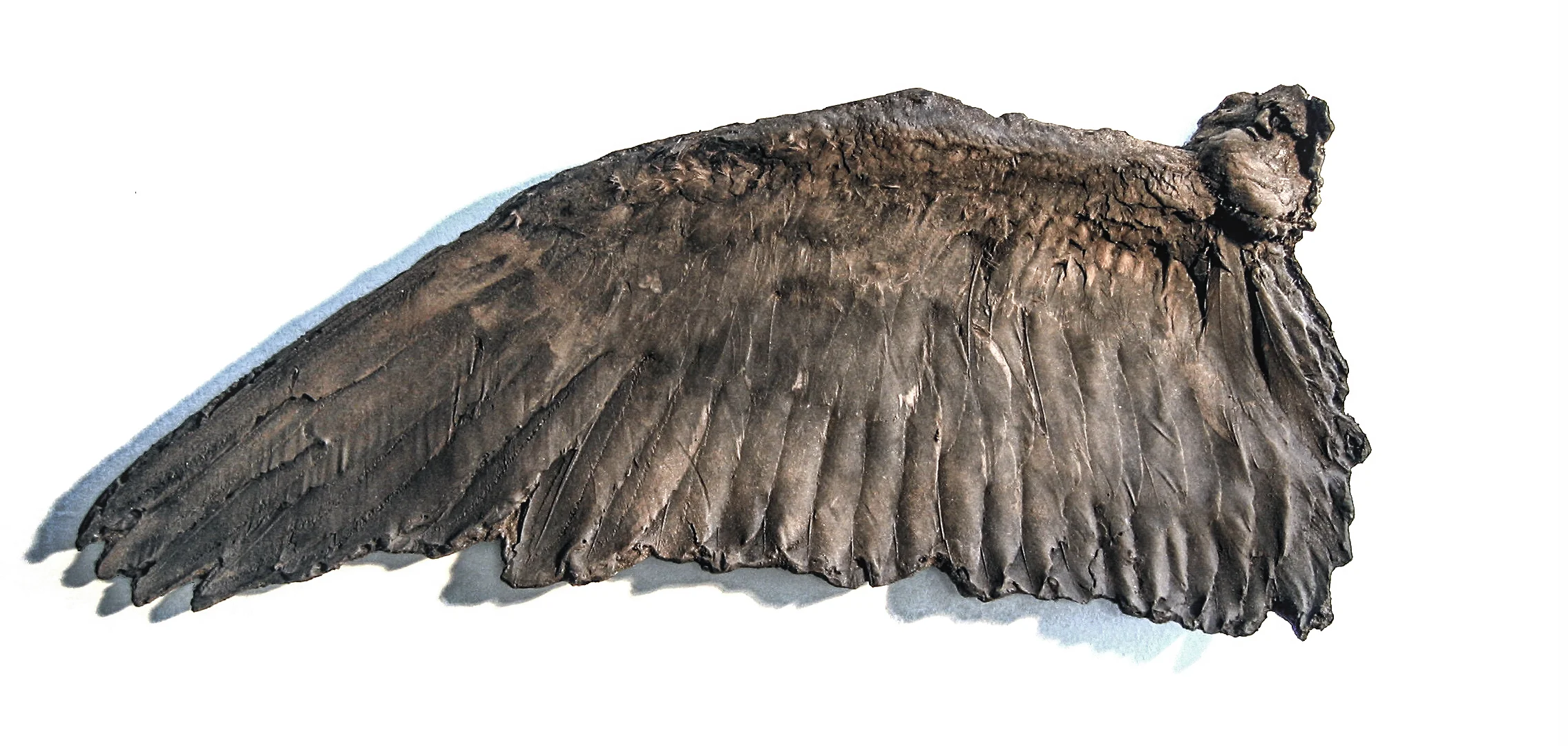 Wing, 1988.