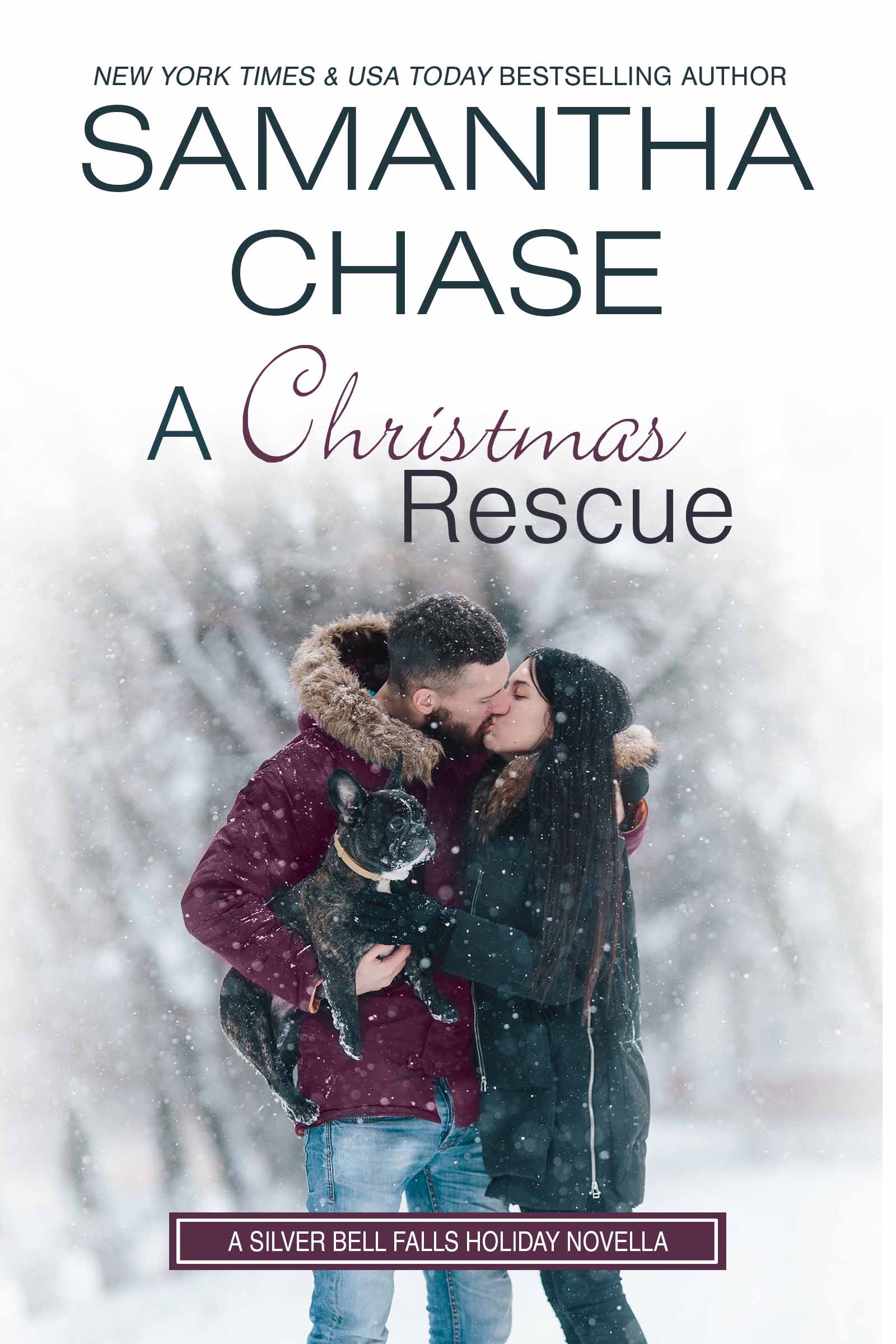 A Christmas Rescue