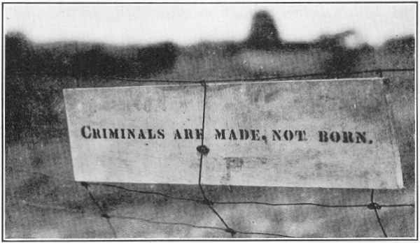 (Above) The Kehoe farmhouse before it was set on fire. (Below) A sign that Kehoe left in the fence at the farm, discovered by investigators after the explosion.