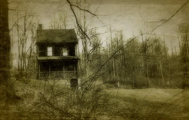 hex house.jpg
