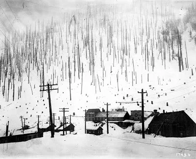 Photographs of the Wellington Avalanche and the disaster wreaked by the “white cascade” of snow.