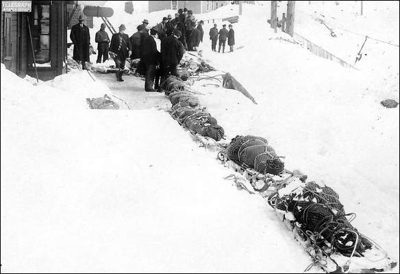 The bodies of the dead were taken away from the disaster site in a long parade of tobaggans that were tied together. 