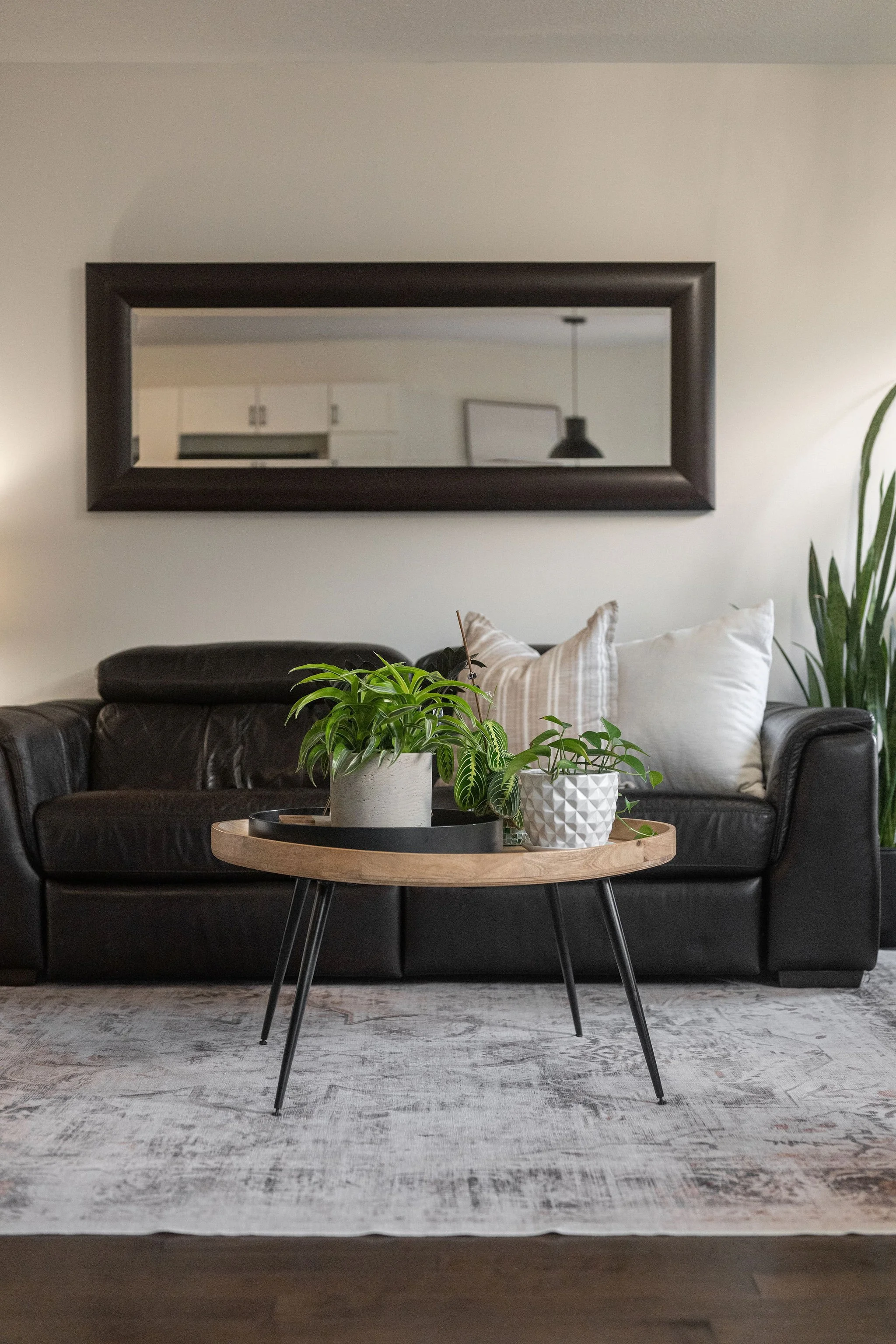 Mediahill412MontserratStreetDetails-9.jpg