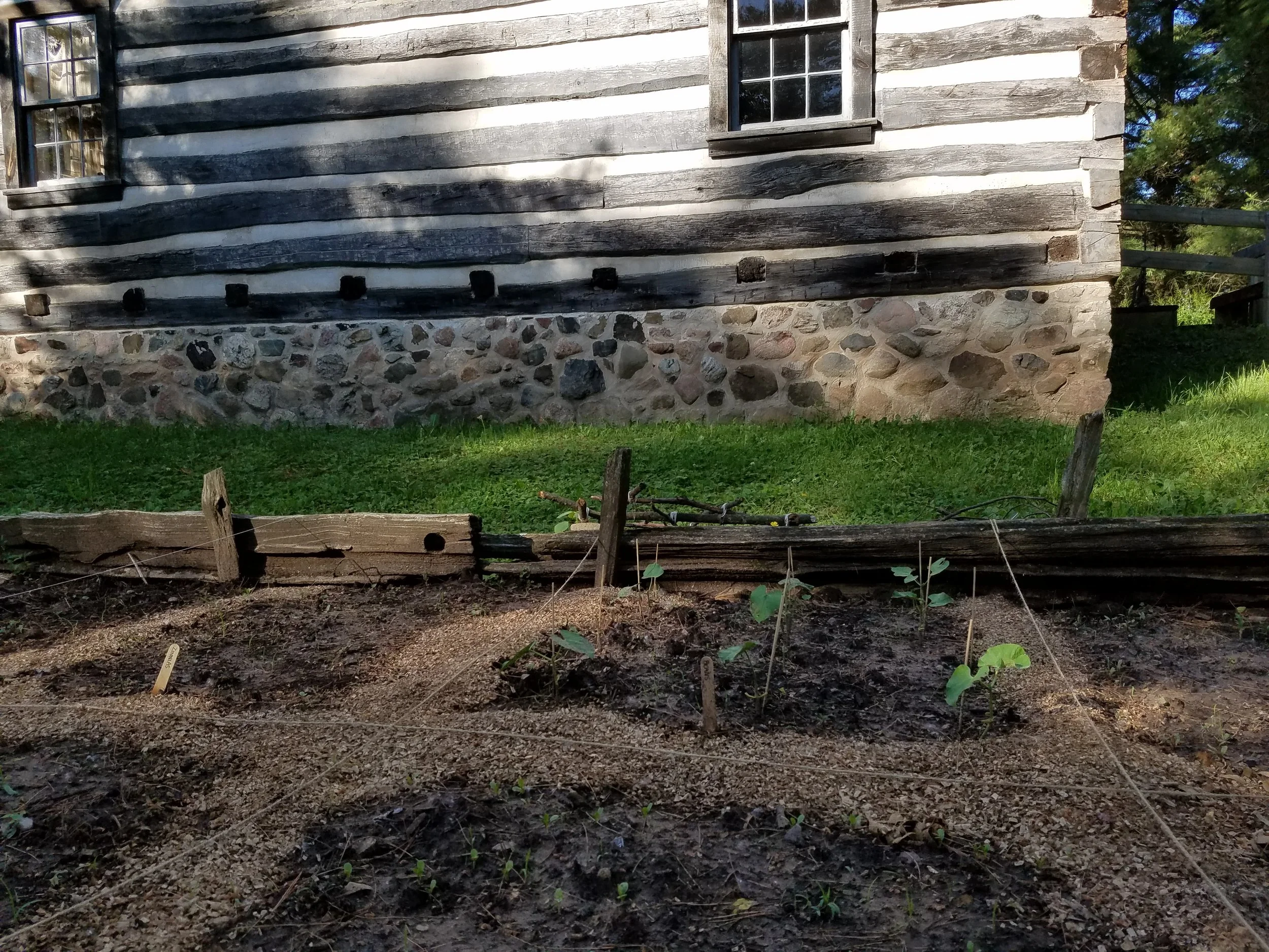 Kunze House garden