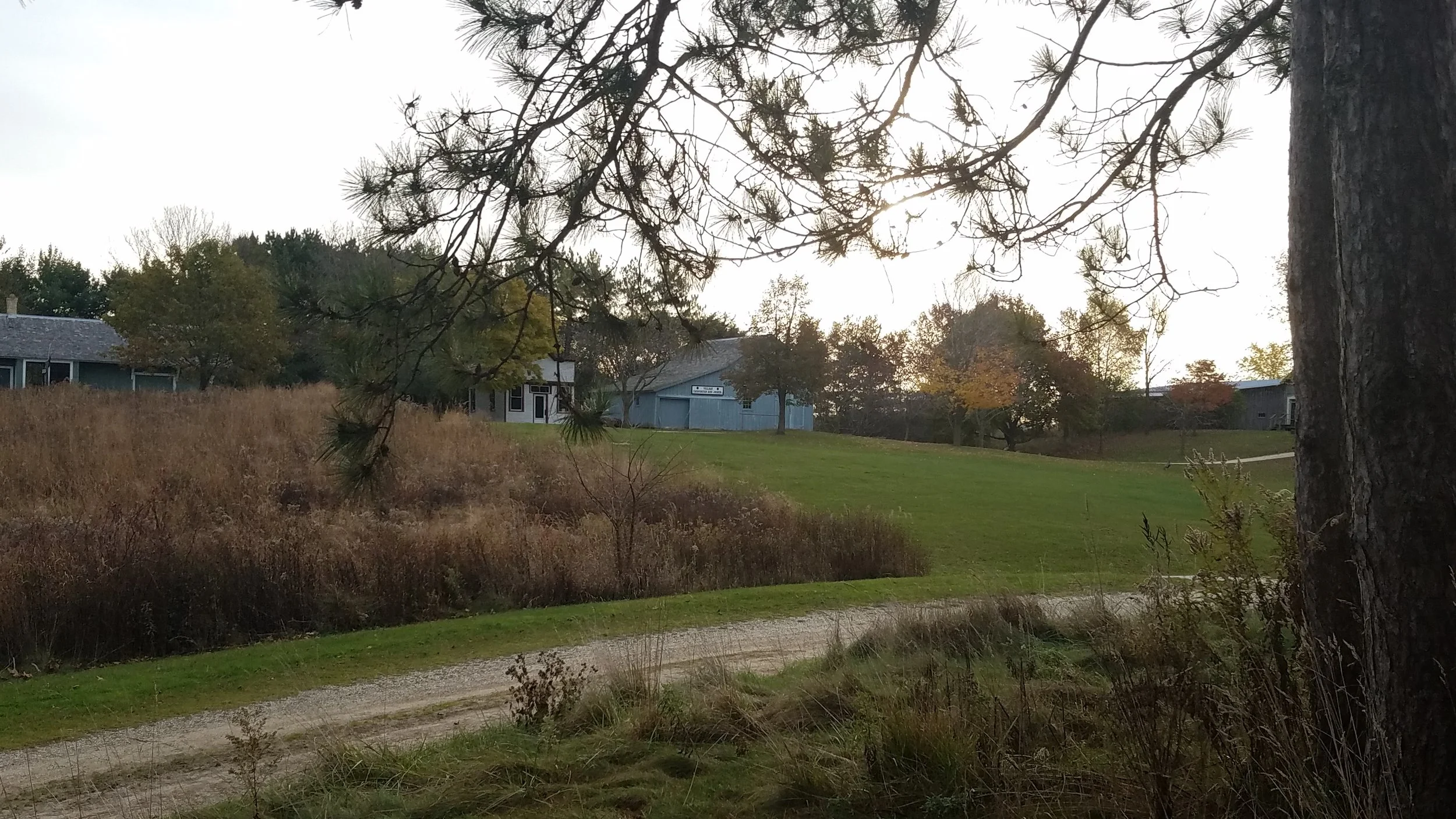 20171107_073723.jpg