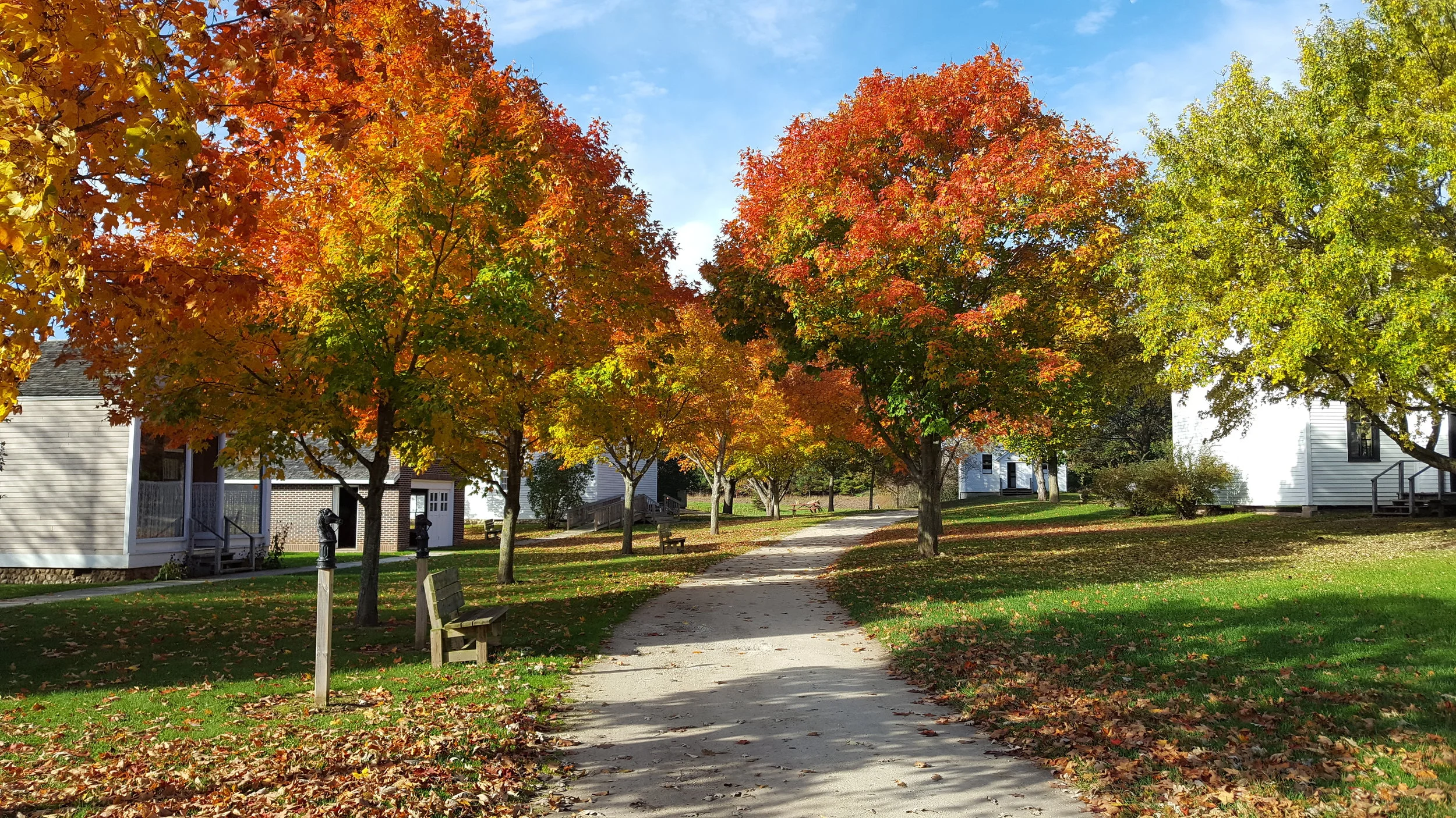 October Feature: Peak Fall Colors