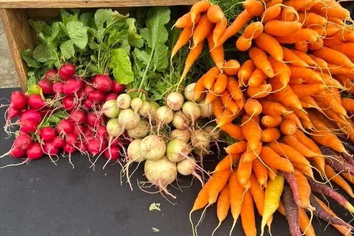 VEGGIES.jpg