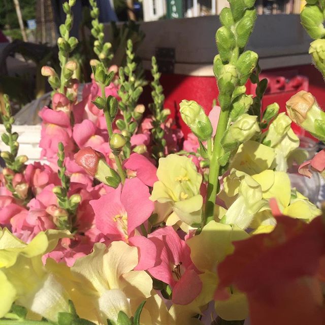 Gorgeous flowers! #farmersmarket #parisky