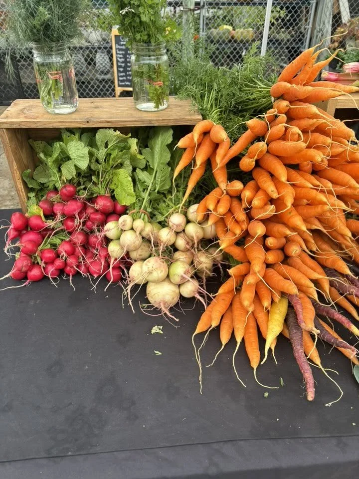 VEGGIES.jpg