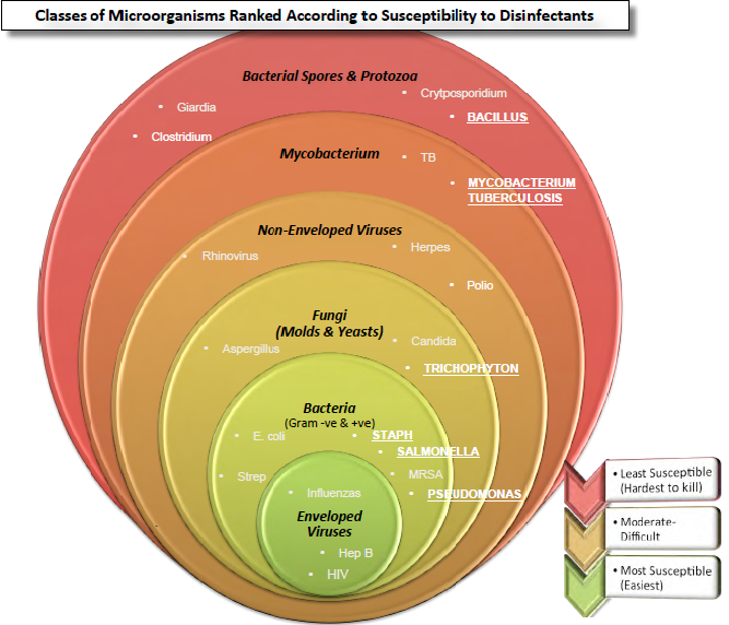 Some microorganisms are harder to kill than others