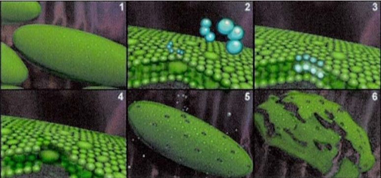 SteraMist™ attacking the cell wall