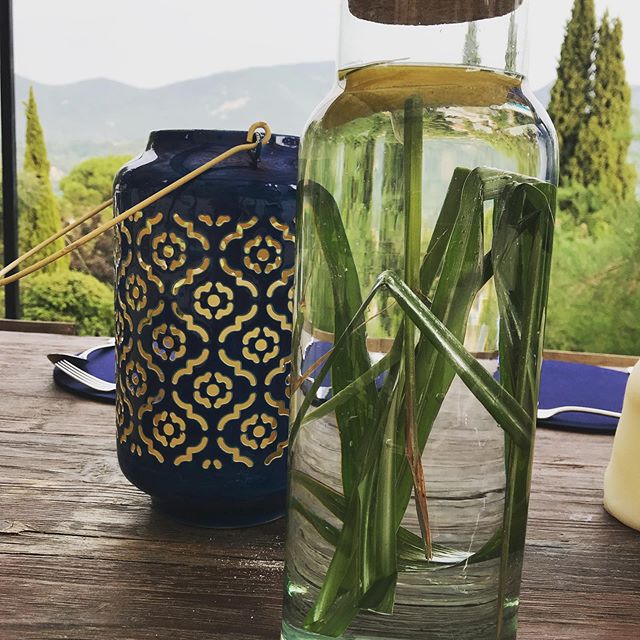 Our neighbour Elsebeth let us pick herbs for @kbmundie retreat from her incredible garden, including this lemon grass for a dinner infusion. We also had some of her home grown saffron on our morning smoothies with its wonderful array of health benefi