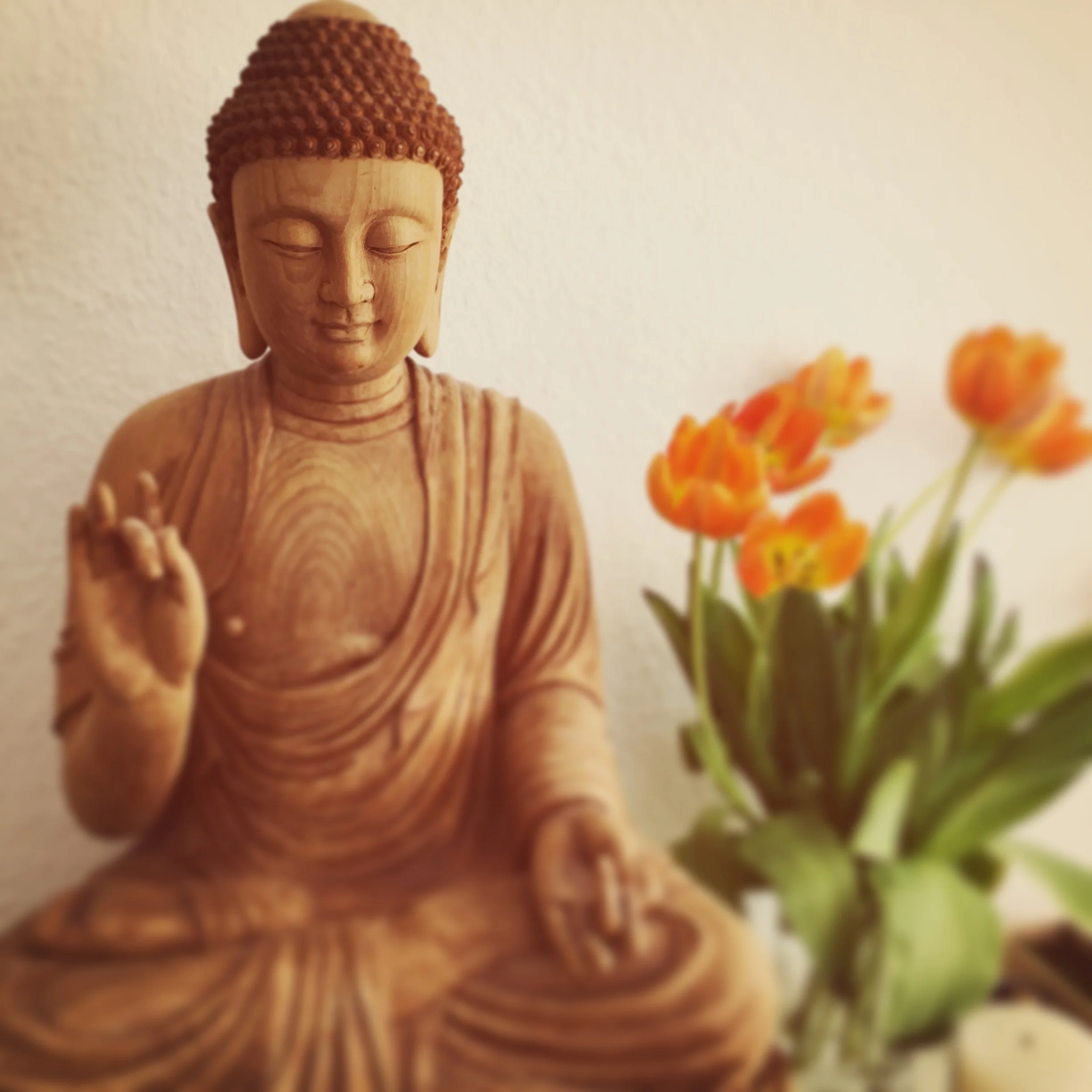 About Zen