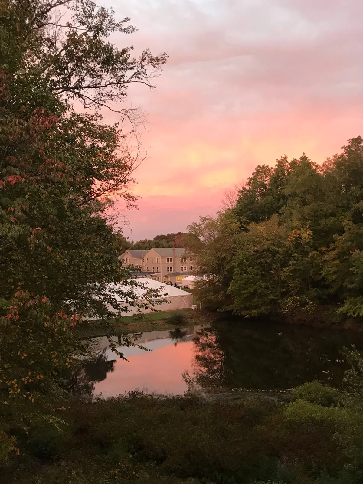 Gil Jacobson - 7A316DB5-6295-4861-B958-D4B7C61F5219.jpeg