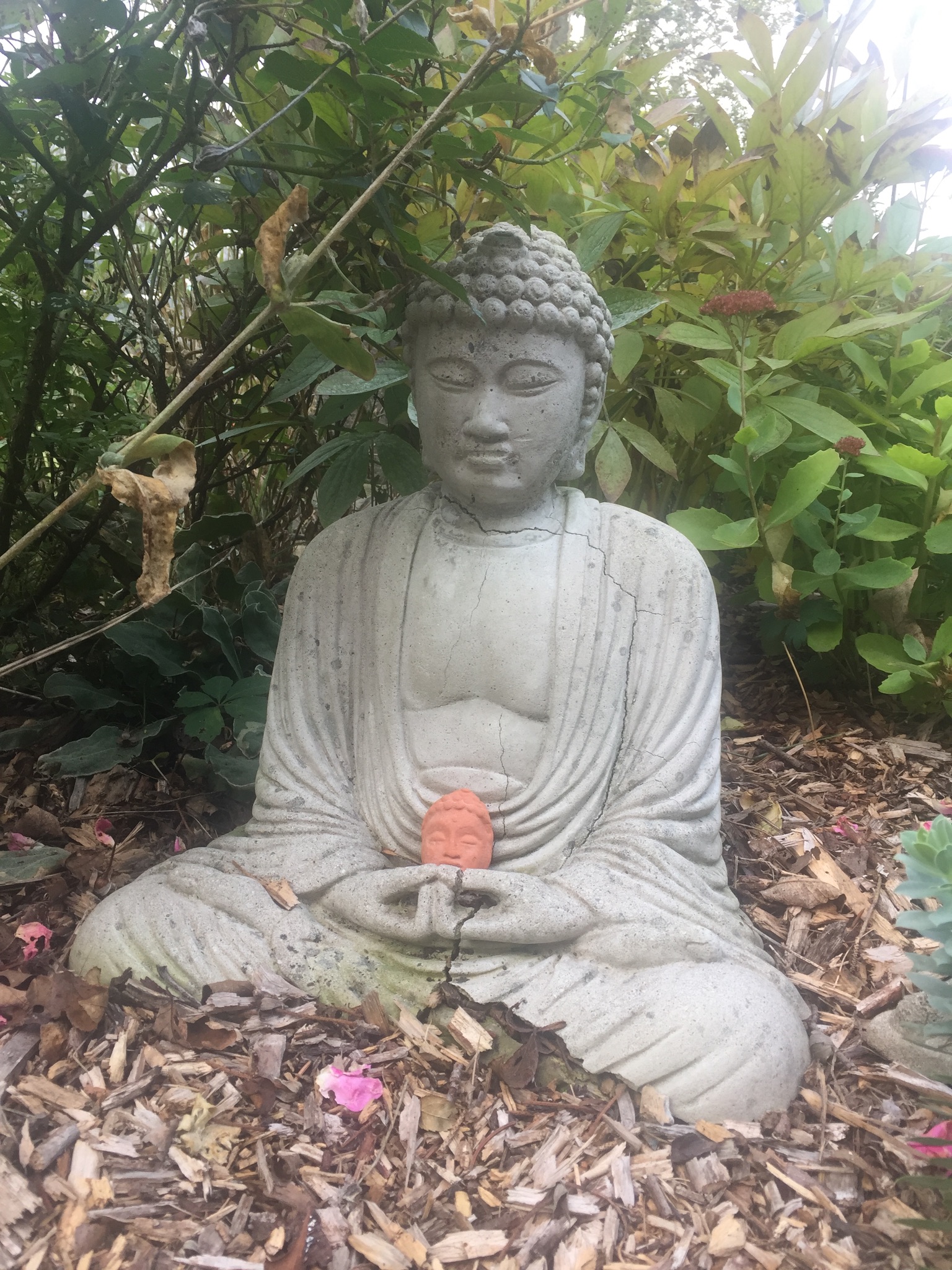 Gil Jacobson - 97085F41-71C8-446C-AB70-F005794BF3AD.jpeg