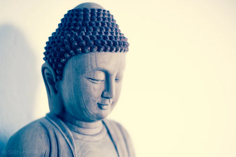 Sven-Buddha-March212014 copy.jpg