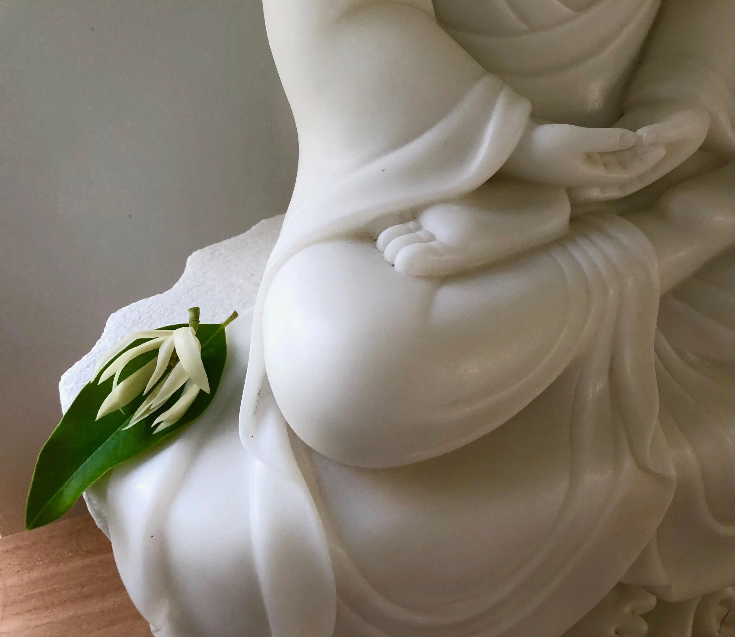 Our Original Strength and Compassion