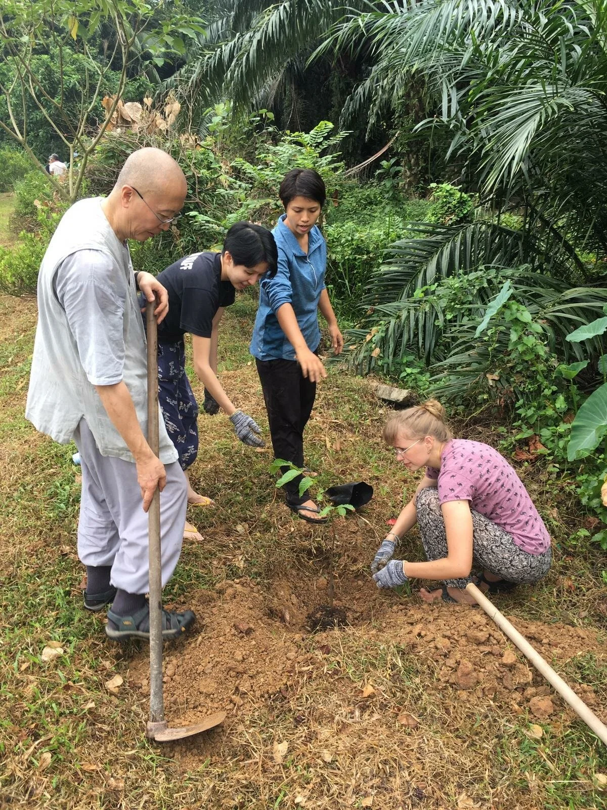 Hothouse Zen: Practicing Zen in a Time of Climate and Ecological Crises