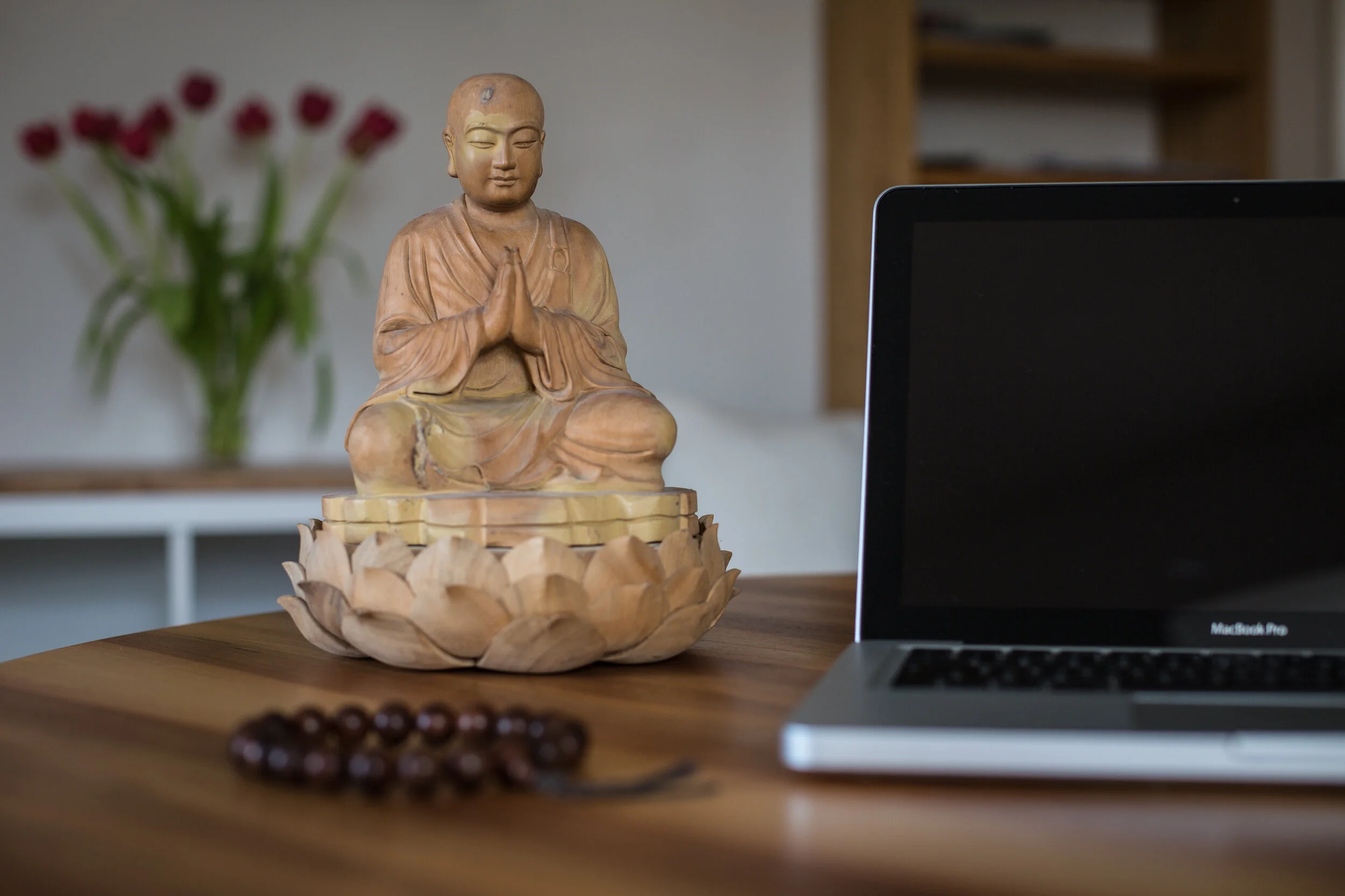 Wired for Enlightenment
