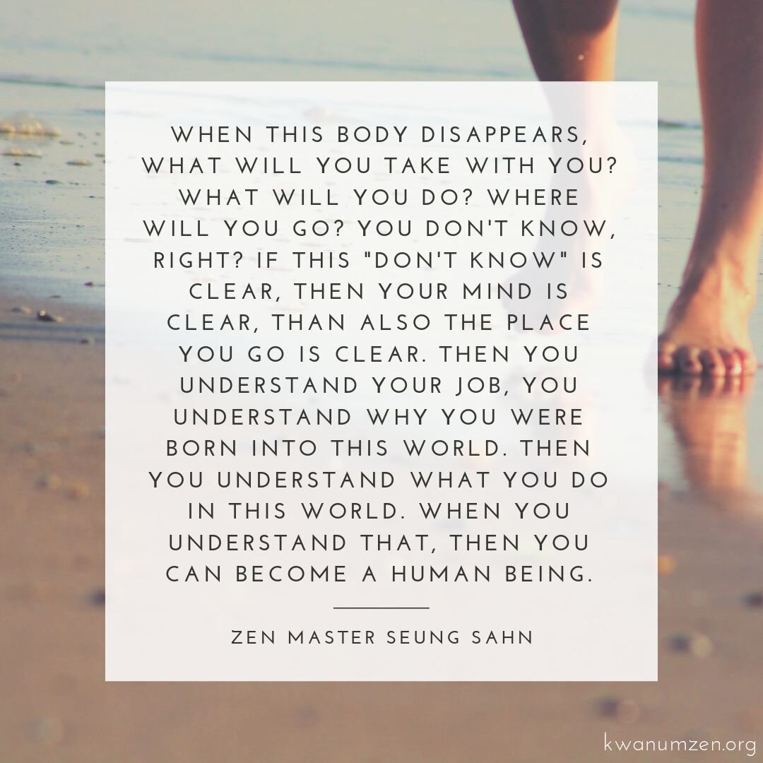 "When this body disappears, what will you take with you?" Quote by Zen Master Seung Sahn #zen #impermanence humanlife #birthanddeath #dontknow #humanbeing #zmseungsahn #buddhism #kwanumzen