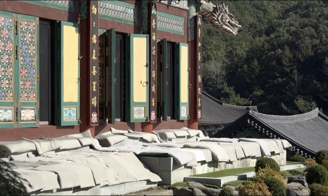 WWSF 2023 Highlights