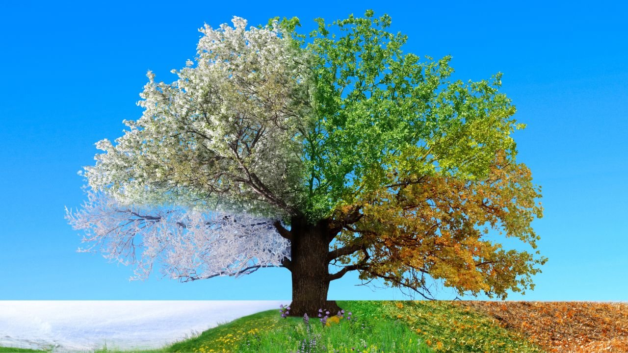 The Great Work Of Life And Death