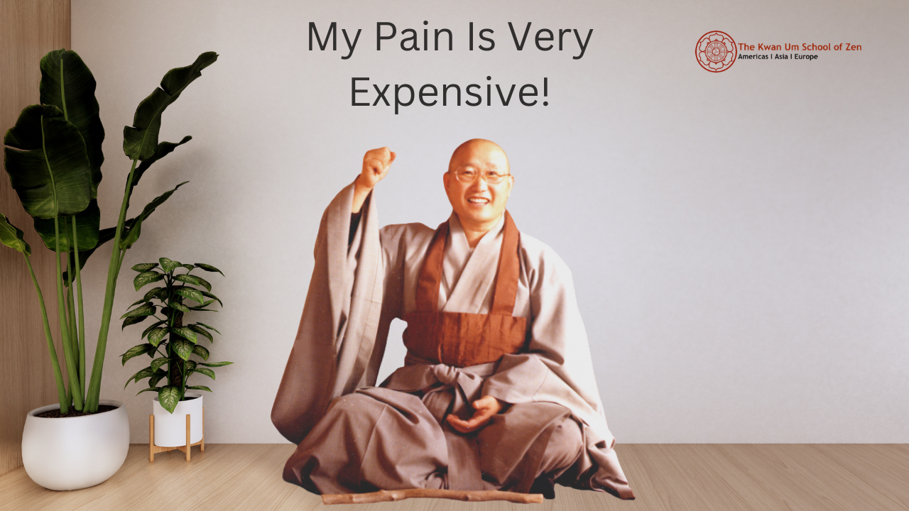 "My Pain Is Very Expensive!"