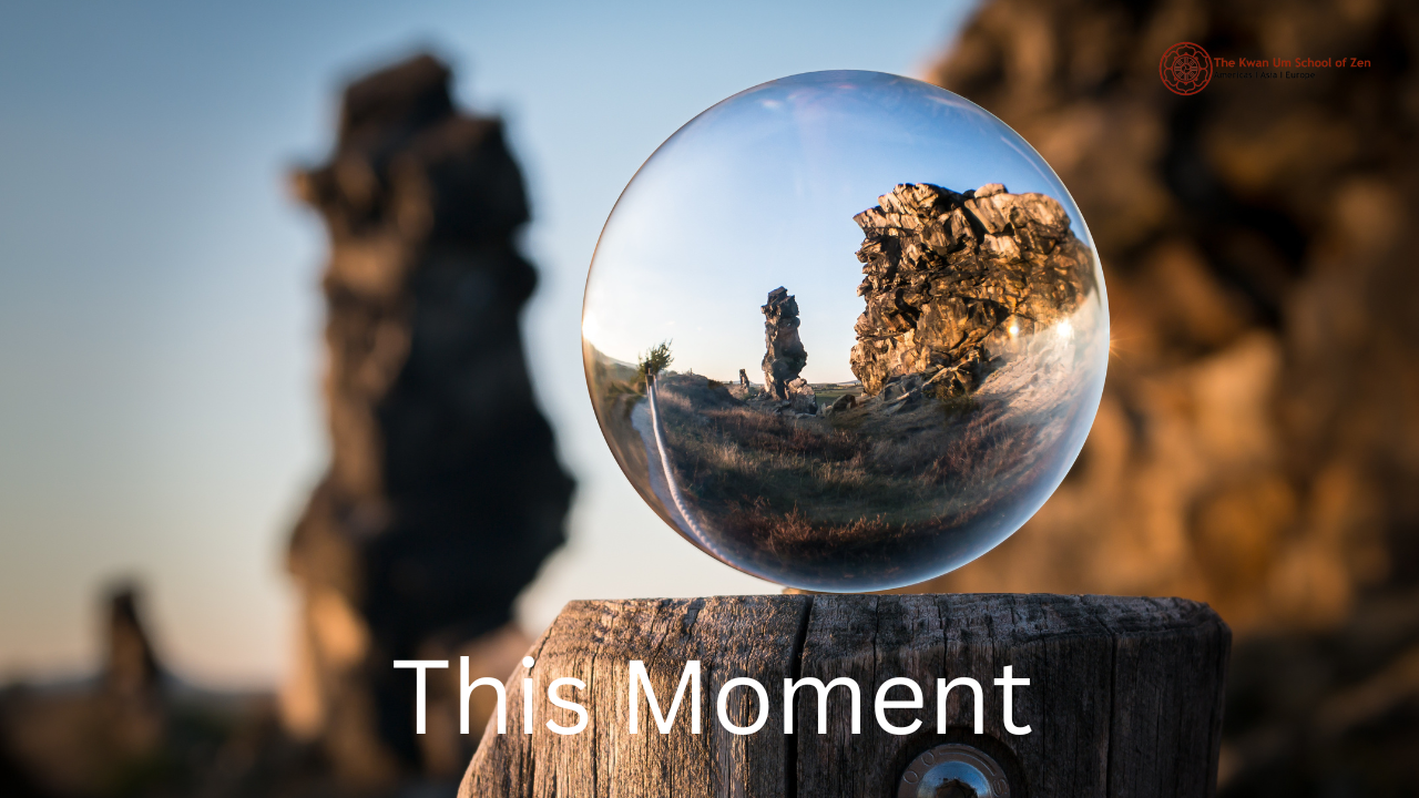 This Moment Contains Everything