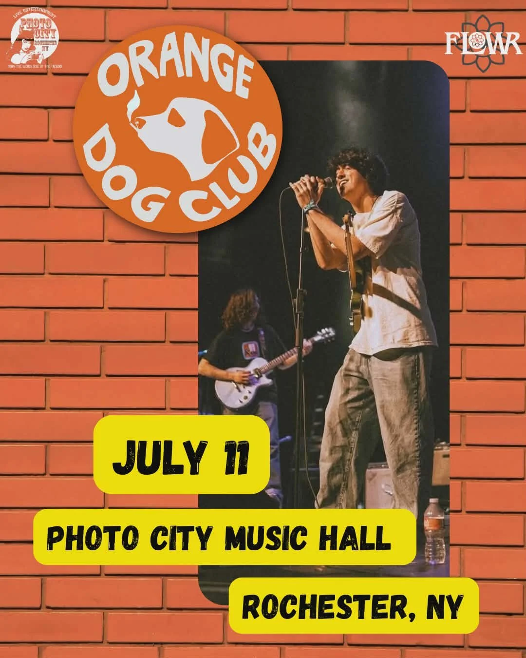 Orange Dog Club