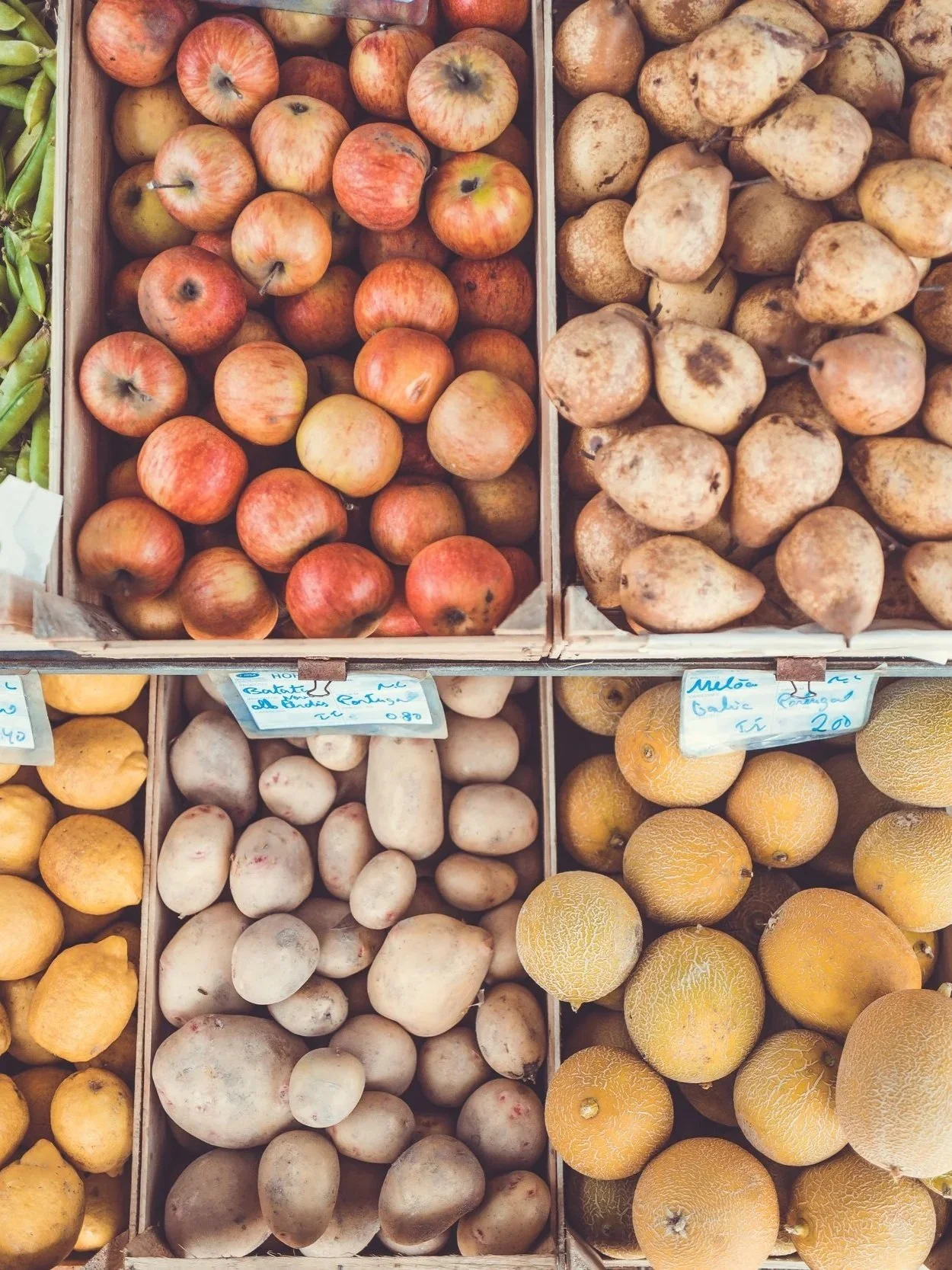From the Blog: Food &amp; Beverage Startups: Cultivating Disruption
