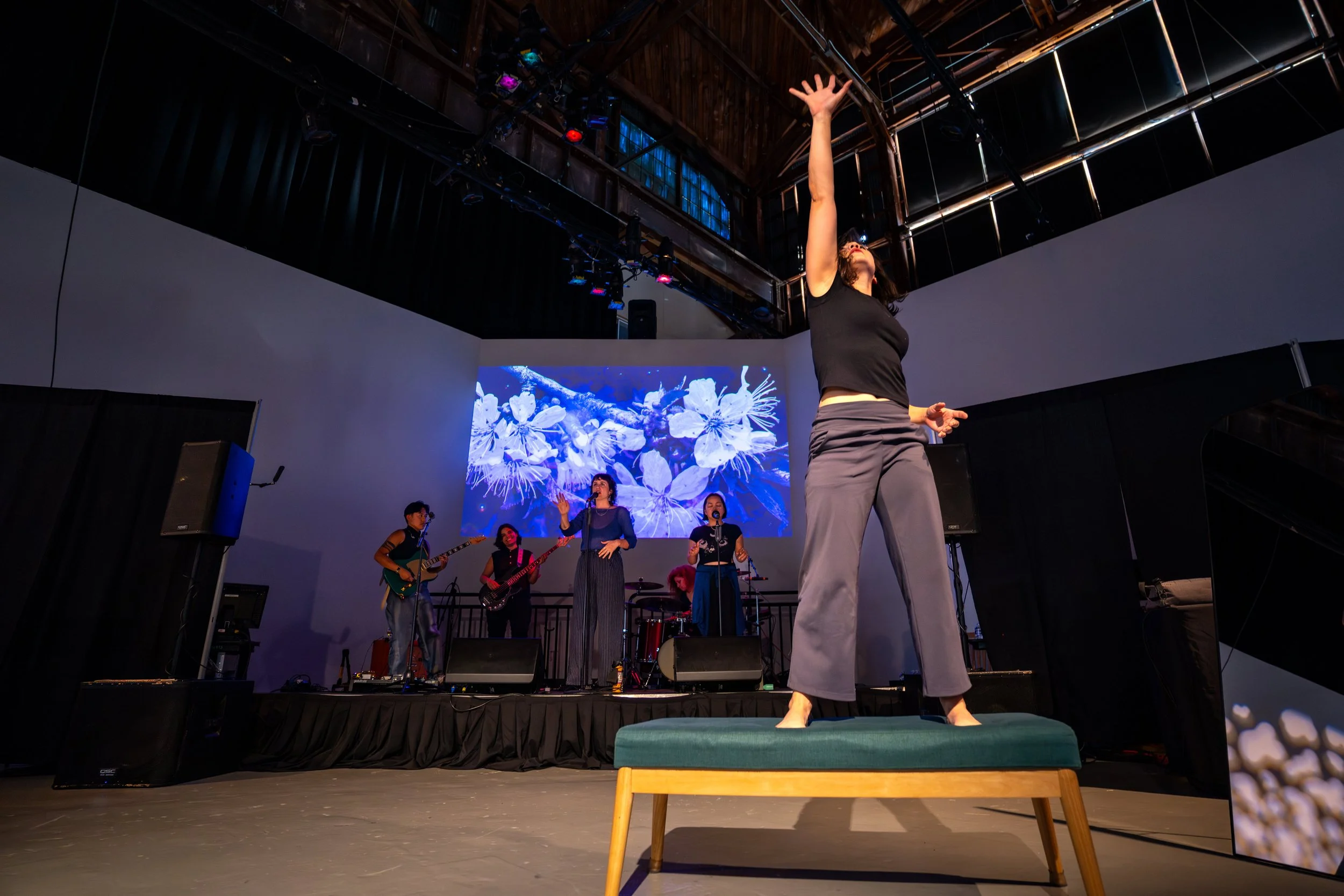 Looking back at a beautiful year!