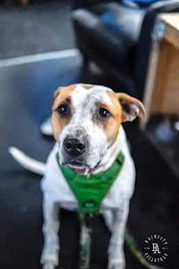 2023 03 26 Oly Class blocks-06.jpg