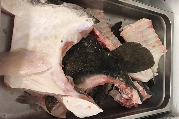 HALIBUT HEADS / BONESThese are available during fresh season for you to take home and make your own stock. 