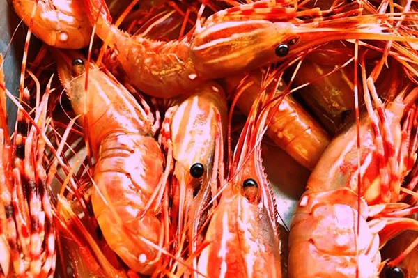 BC SPOT PRAWNS Caught off our west coast commercially during May and June. They have a natural sweet flavour and no vein to clean out. They are extremely versatile and will turn out fantastic any way you cook them.