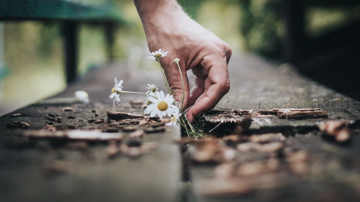 Gorgeous photography by Andrik Langfield