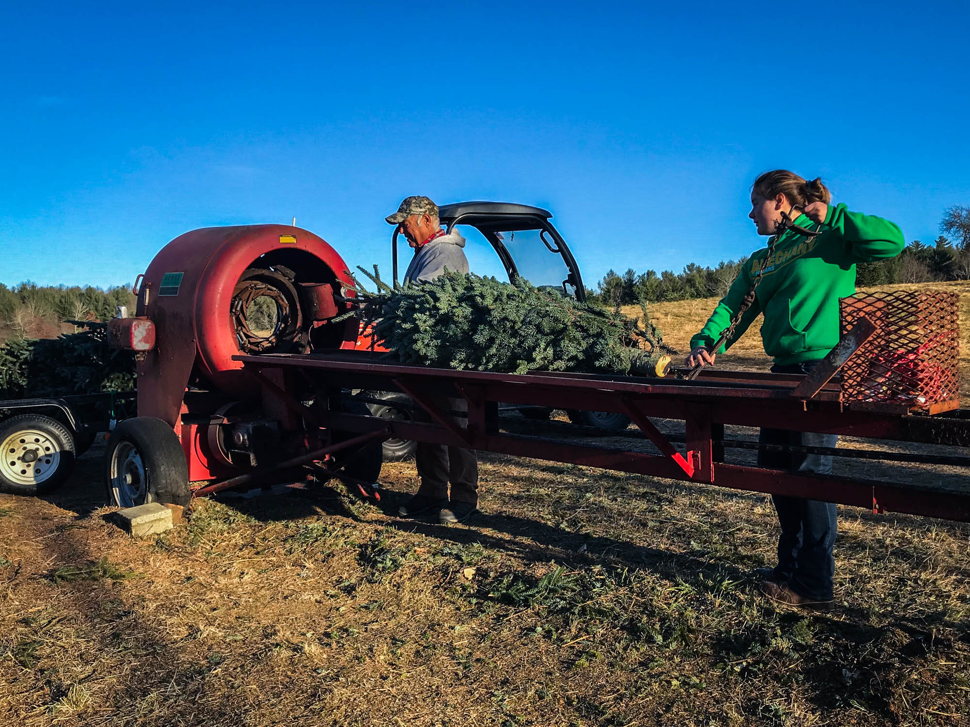 Bobby Maines and his granddaughter put a tree through the ‘baler’ for customers. These trees are some of the last they will be selling of the season, and are going to customers who have been coming to the Maines’ for 15 years.