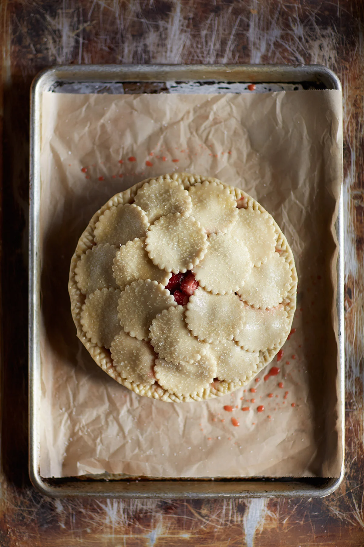 scallop circle unbaked sized p & t.jpg