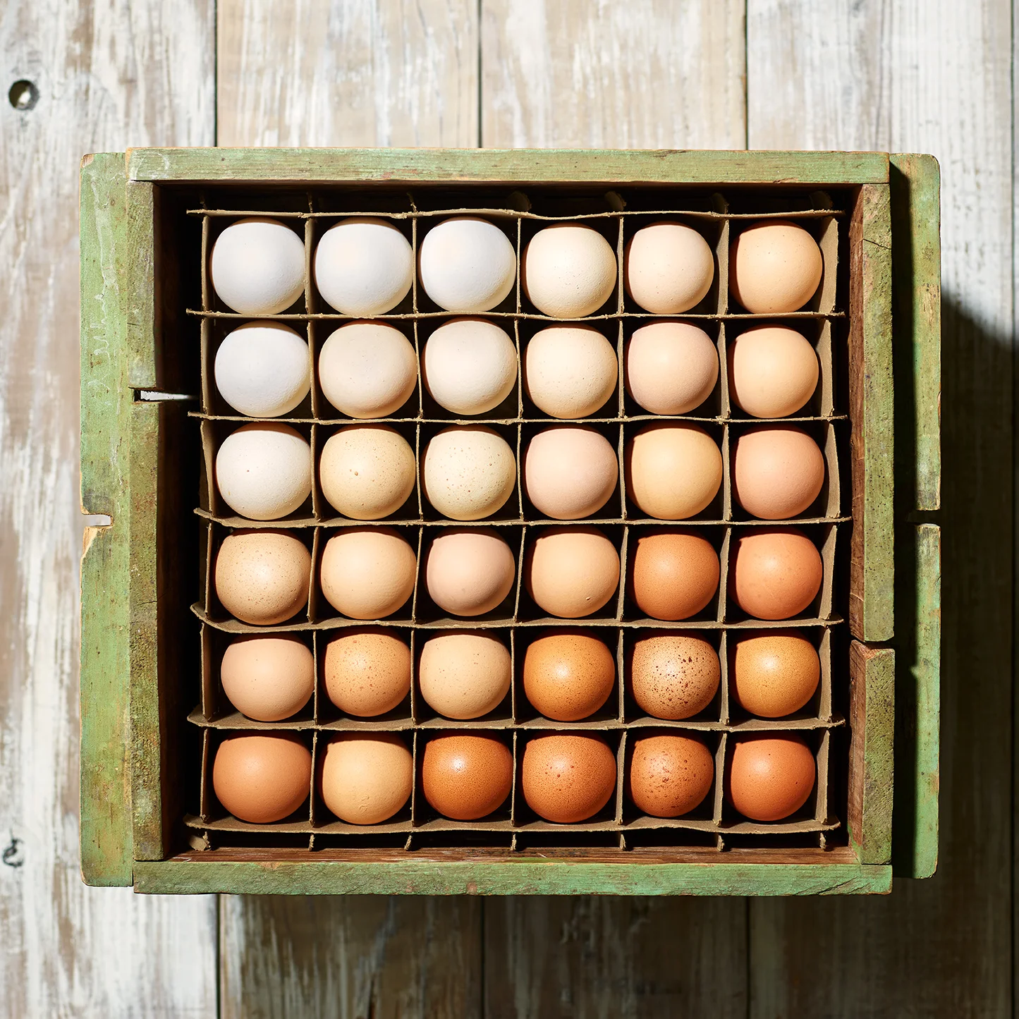egg-crate1.jpg