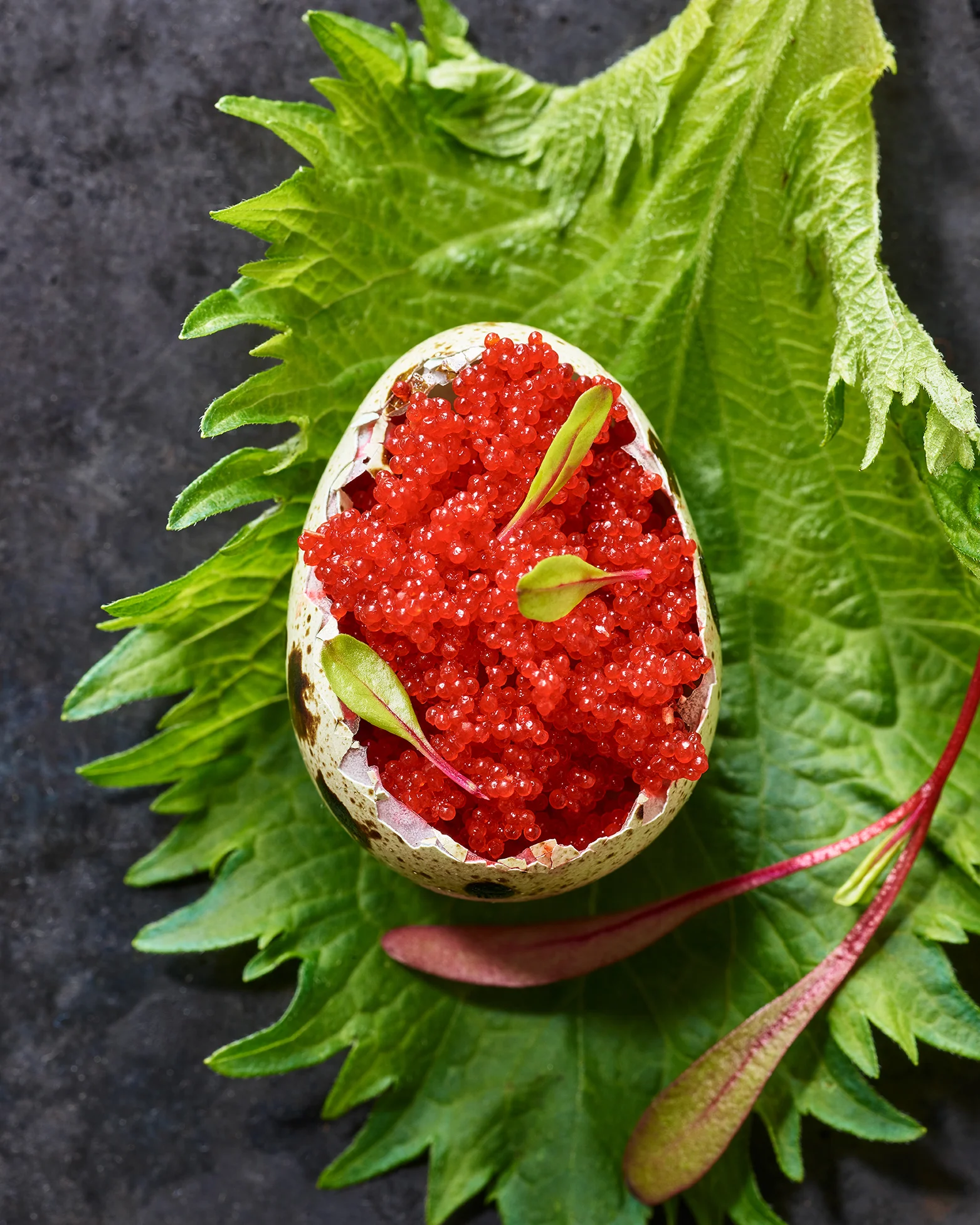Fish-Eggs-Appetizer-Tobiko.jpg