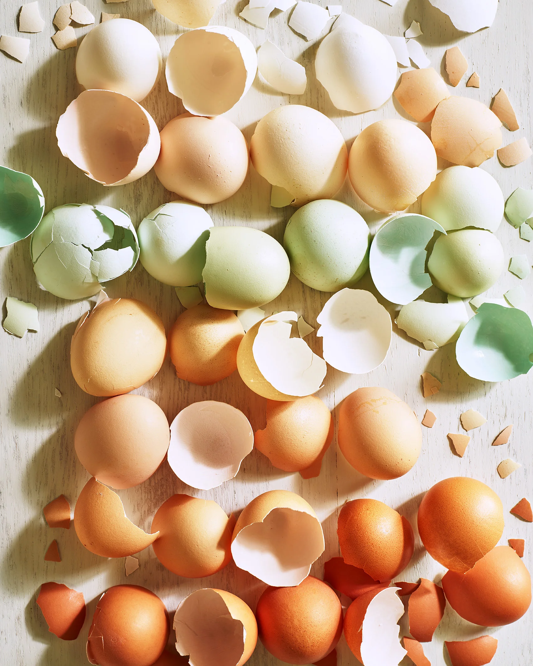 Back-Page-Cracked-Egg-Shells.jpg