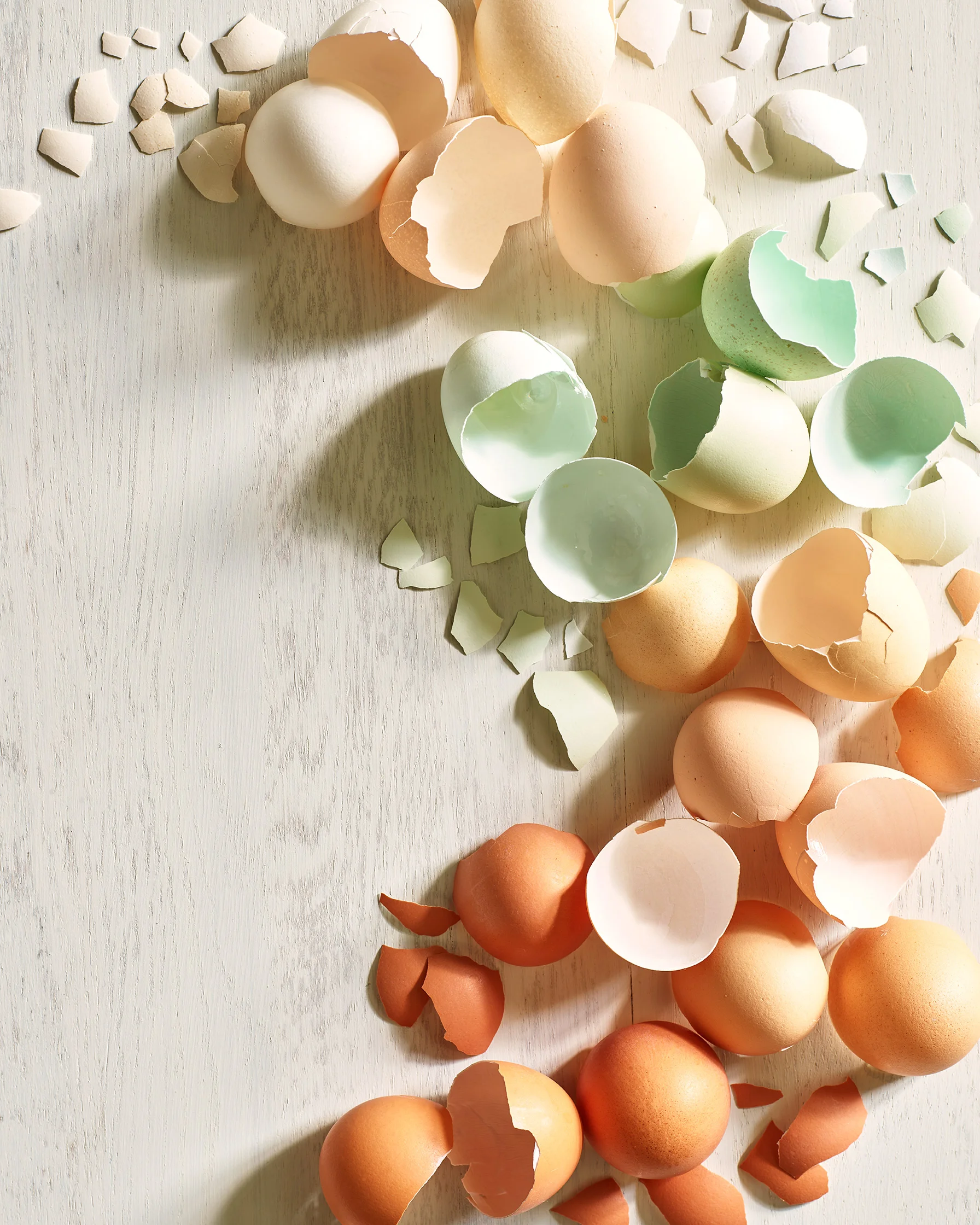 Back-Page-Cracked-Egg-Shells_vs-2.jpg