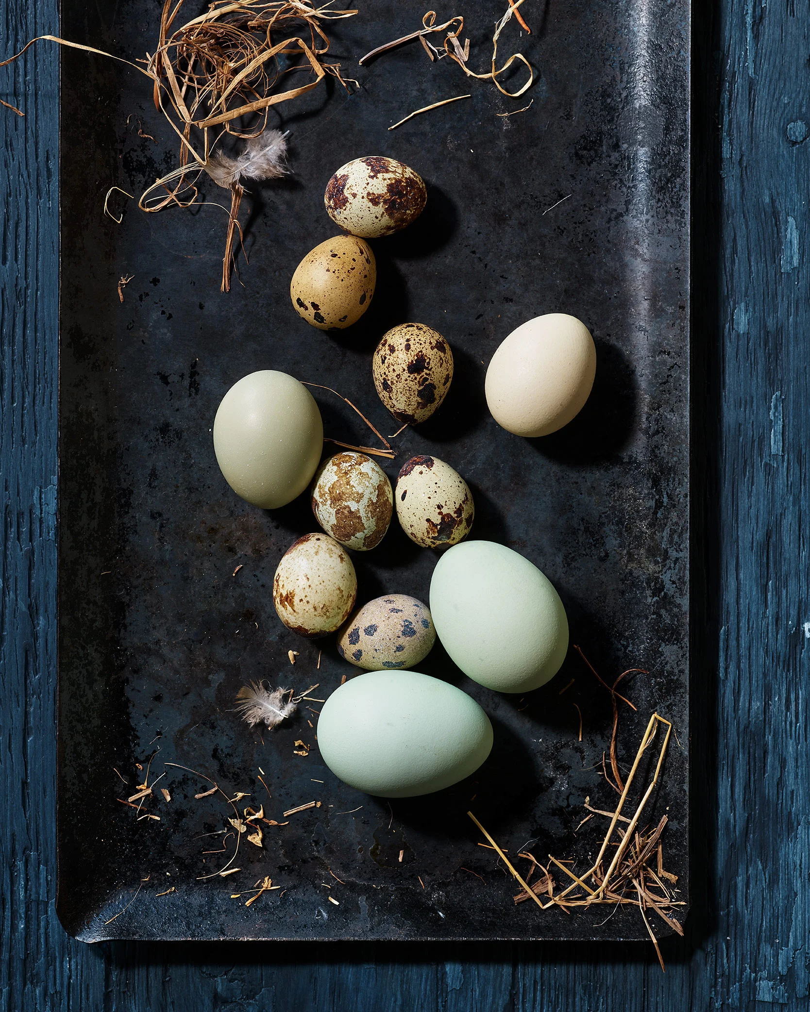 Egg-Still-Life.jpg