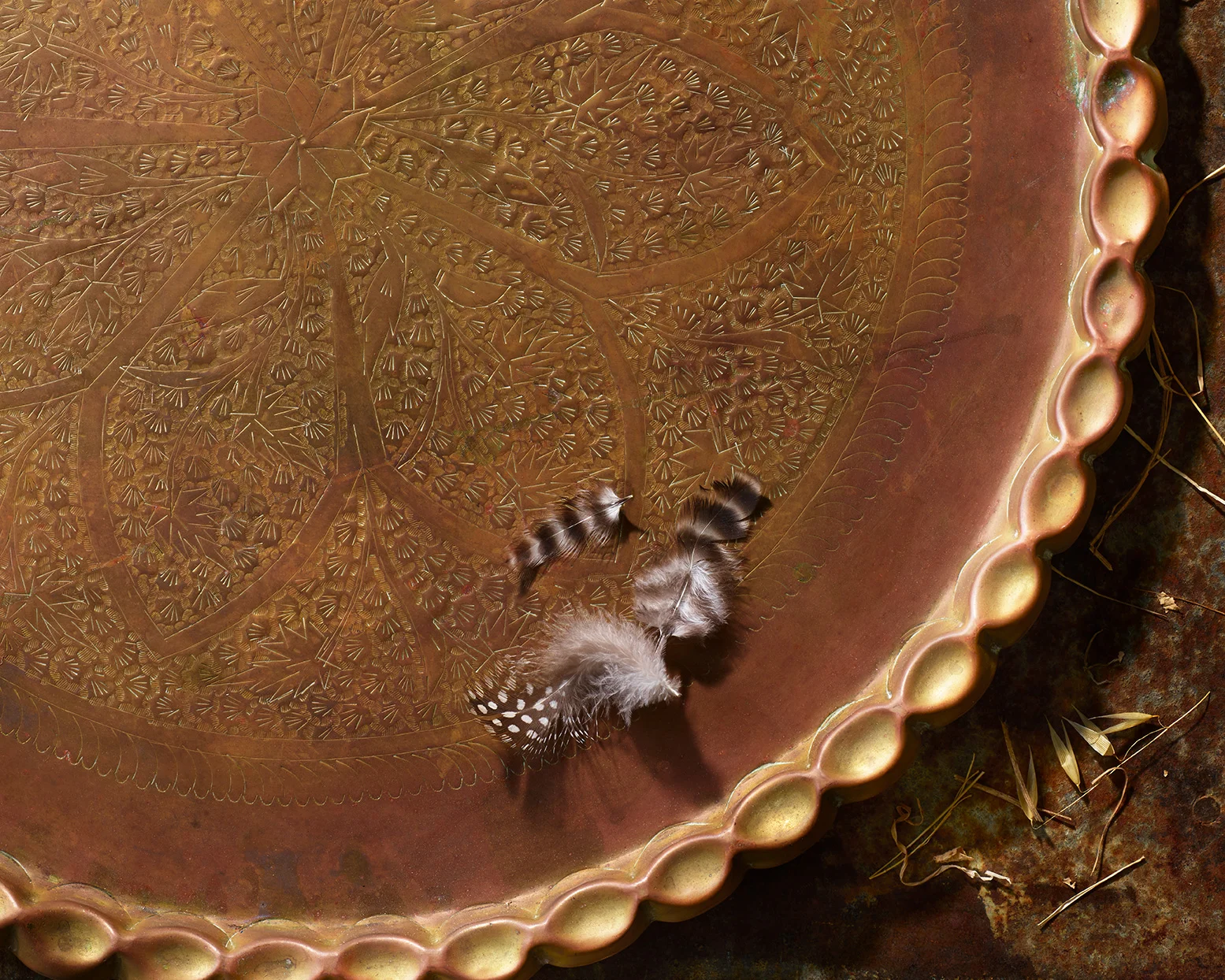 Type-page-Tray-Feathers_19225.jpg