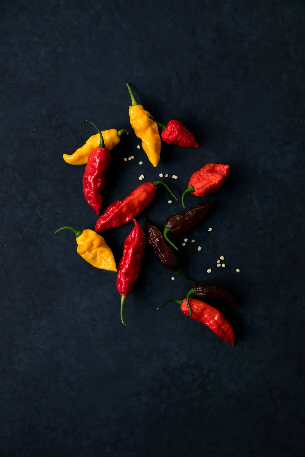 hot-chilis-ghost-peppers-3-web.jpg